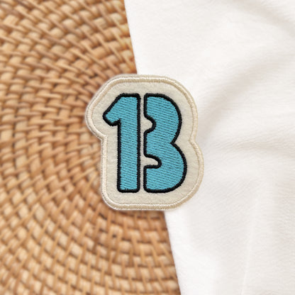 "13"Swiftie Inspried Embroidery Patch Taylor Version